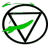 Misaki2008