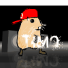 Timo