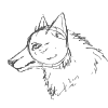 gryph42