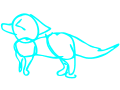 wip run cycle