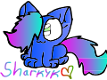 sharkykit