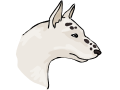 Bull terrier