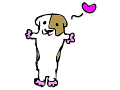 Dancin' Guinea Pig!