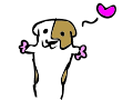 Guinea Pig! (4 guineapiggirl)