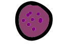purple cookie!!!!