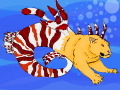 Lion Fish