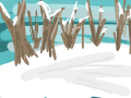Winter Forest