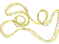 Roller Coaster