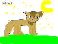 baby wolf
