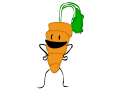 Stu Carrot For Ninjastar2