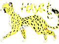 Hayate Cheetah