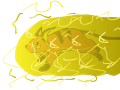 Volt tackle!!!!