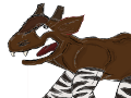Okapi