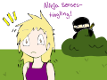 The Neighborhood Ninja (true story)