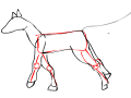 Fail Gallop