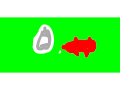 antibody and bactira