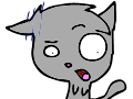 ultra confused cat