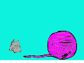 kitten playing with yarn/ for coooldog117 on youtube