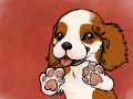 Cavalier Spanel Puppy