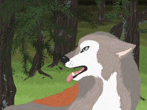 Korpimaa ~ Wilderness